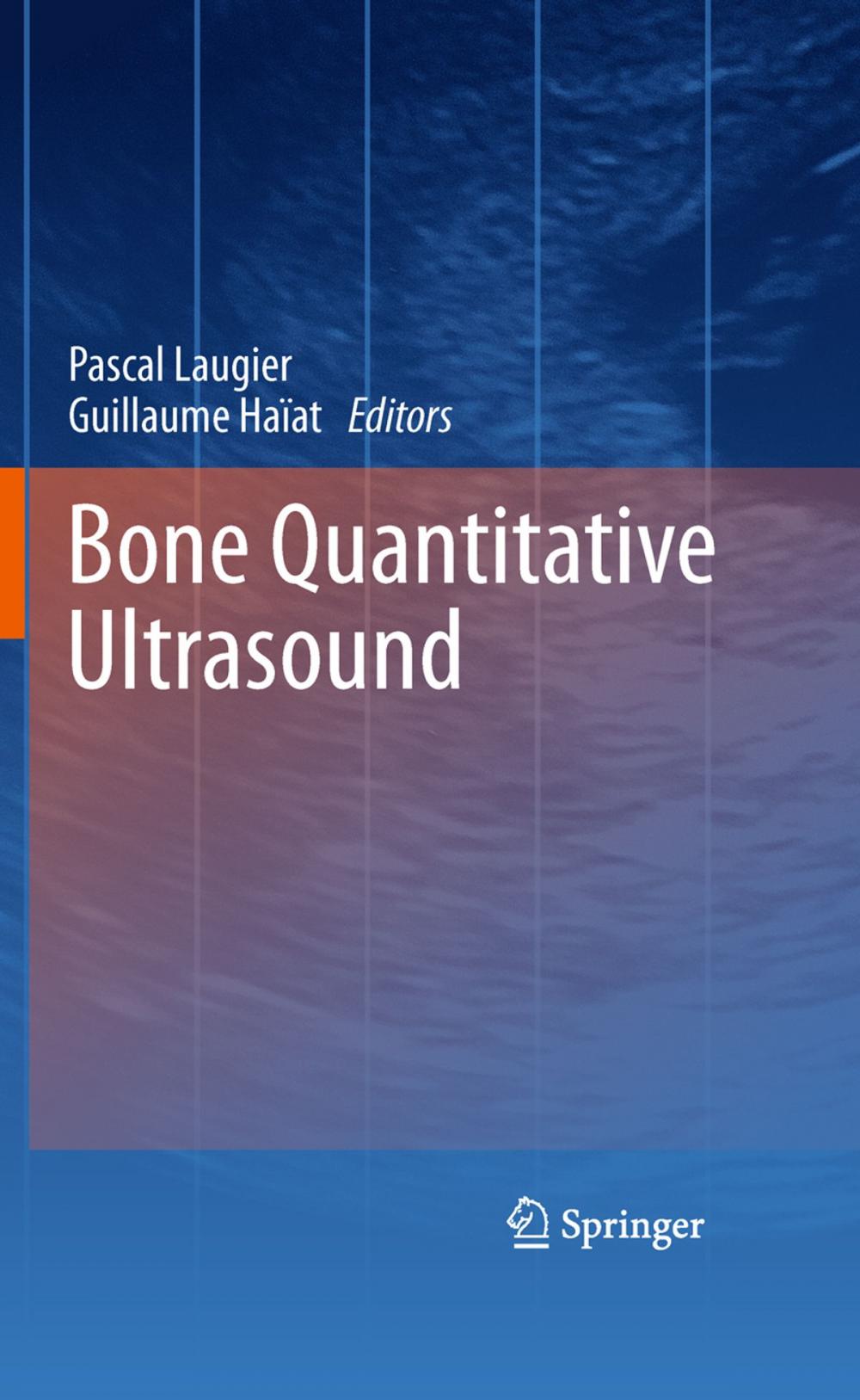 Big bigCover of Bone Quantitative Ultrasound