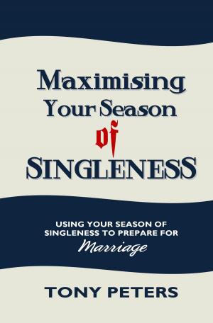 Cover of MAXIMISING YOUR SEASON OF SINGLENESS