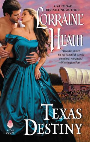 Cover of the book Texas Destiny by Tom Wheeler