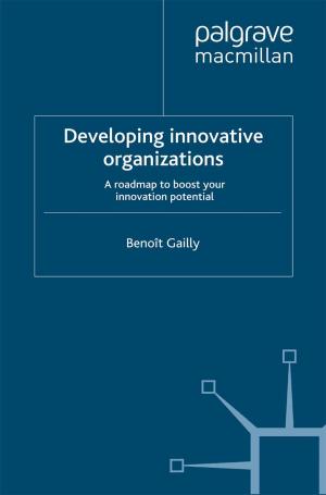 Cover of the book Developing Innovative Organizations by Diana Leat