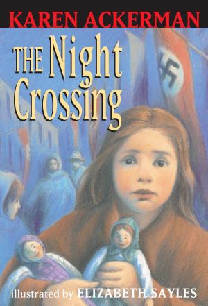 Cover of the book The Night Crossing by Jenna Lettice