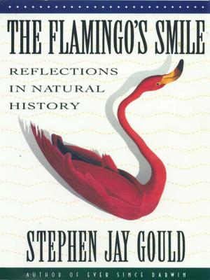 Cover of the book The Flamingo's Smile: Reflections in Natural History by Paula Fox
