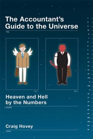 Book cover of The Accountant's Guide to the Universe