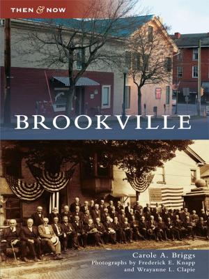 Cover of the book Brookville by Tracy Potter