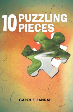 Cover of the book 10 Puzzling Pieces by James R. Saltvold