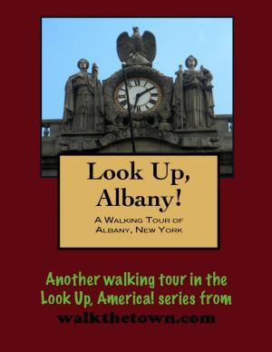 Cover of the book Look Up, Albany! A Walking Tour of Albany, New York by Doug Gelbert