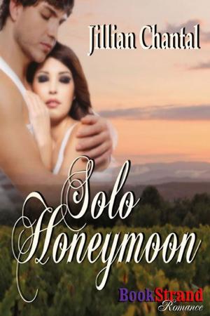 Cover of the book Solo Honeymoon by Clair de Lune