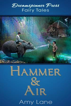 Cover of the book Hammer & Air by Rowan Speedwell