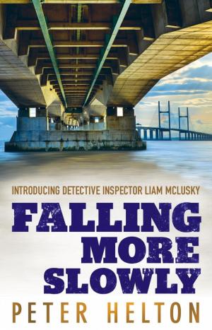 Cover of the book Falling More Slowly by Roger Wilkes
