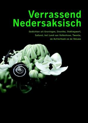 Cover of the book Verrassend Nedersaksisch by Johan Vink, Rob Baarda, Leo van der Aalst, Ewald Roodenrijs, Ben Visser
