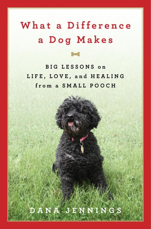 Cover of the book What a Difference a Dog Makes by Dana Jennings, Knopf Doubleday Publishing Group