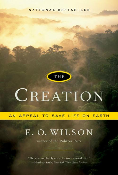 Cover of the book The Creation: An Appeal to Save Life on Earth by Edward O. Wilson, W. W. Norton & Company