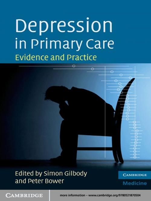 Cover of the book Depression in Primary Care by , Cambridge University Press