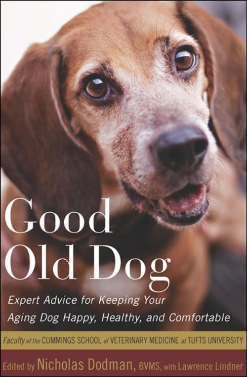 Cover of the book Good Old Dog by Lawrence Lindner, Houghton Mifflin Harcourt