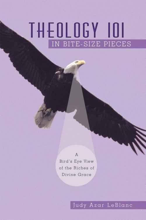 Cover of the book Theology 101 in Bite-Size Pieces by Judy Azar LeBlanc, WestBow Press