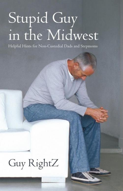 Cover of the book Stupid Guy in the Midwest by Guy RightZ, iUniverse