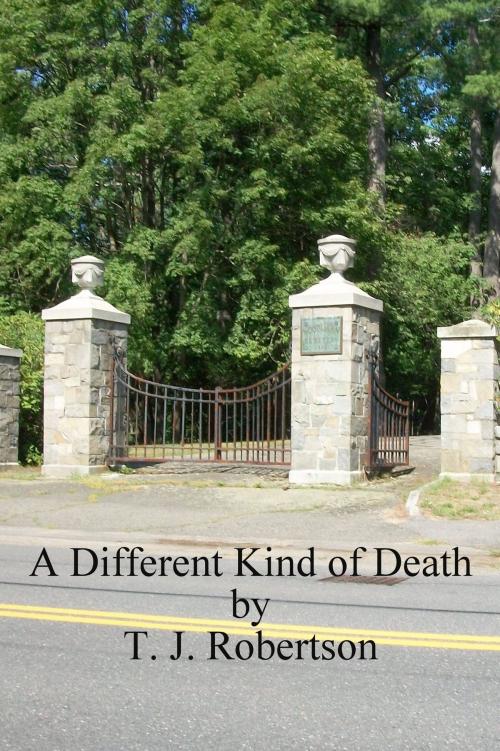 Cover of the book A Different Kind of Death by T. J. Robertson, T. J. Robertson