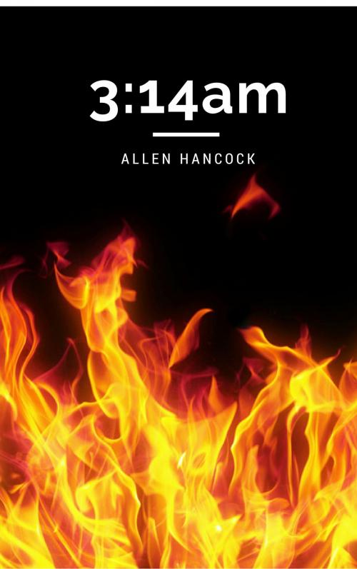 Cover of the book 3:14 am by Allen Hancock, Allen Hancock