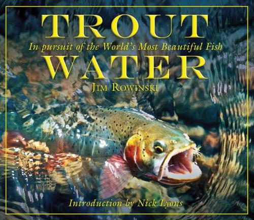 Cover of the book Trout Water by Jim Rowinski, Skyhorse