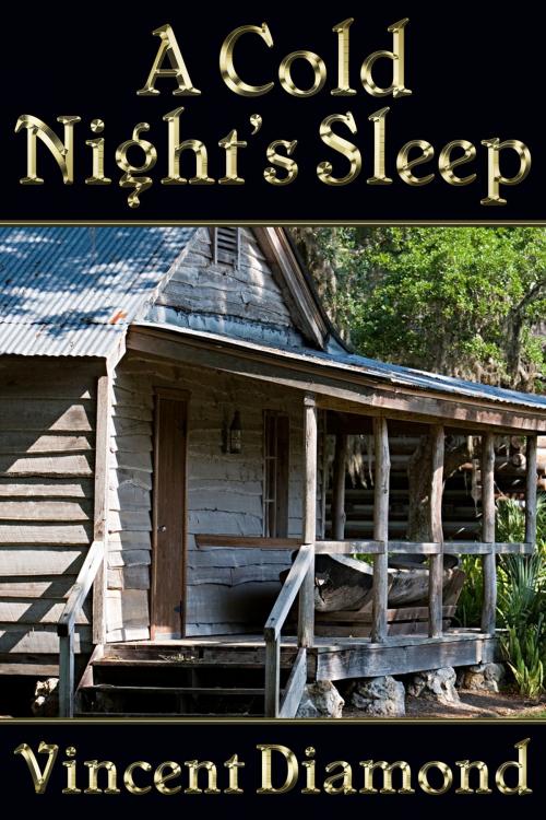 Cover of the book A Cold Night's Sleep by Vincent Diamond, JMS Books LLC