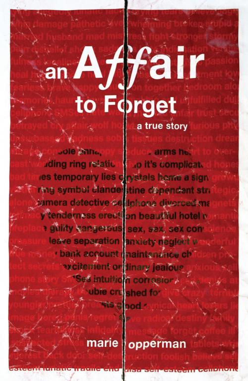 Cover of the book An Affair to Forget by Marie Opperman, Random House Struik