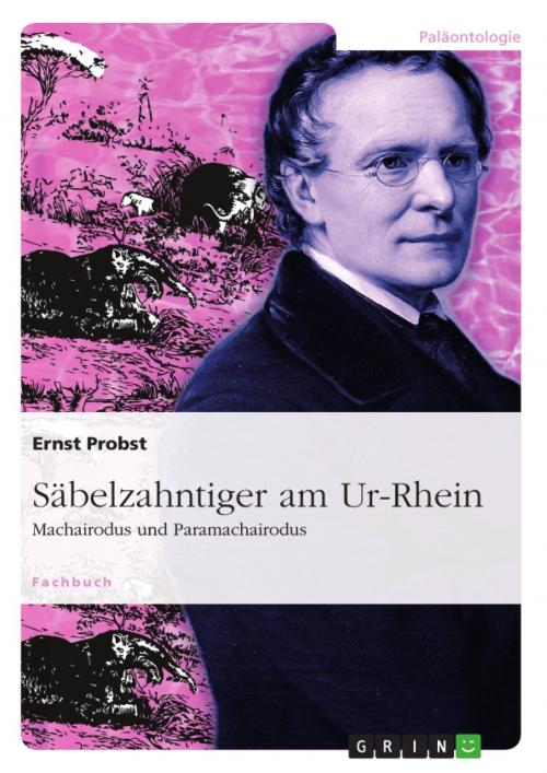 Cover of the book Säbelzahntiger am Ur-Rhein by Ernst Probst, GRIN Verlag