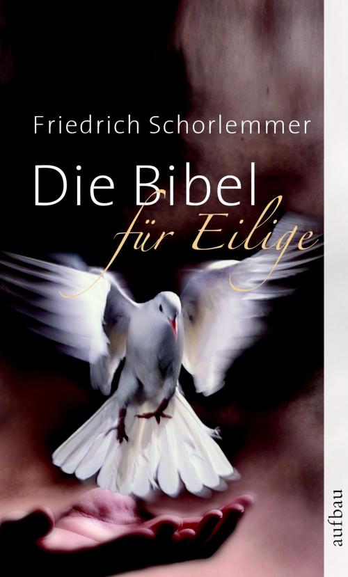 Cover of the book Die Bibel für Eilige by Friedrich Schorlemmer, Aufbau Digital