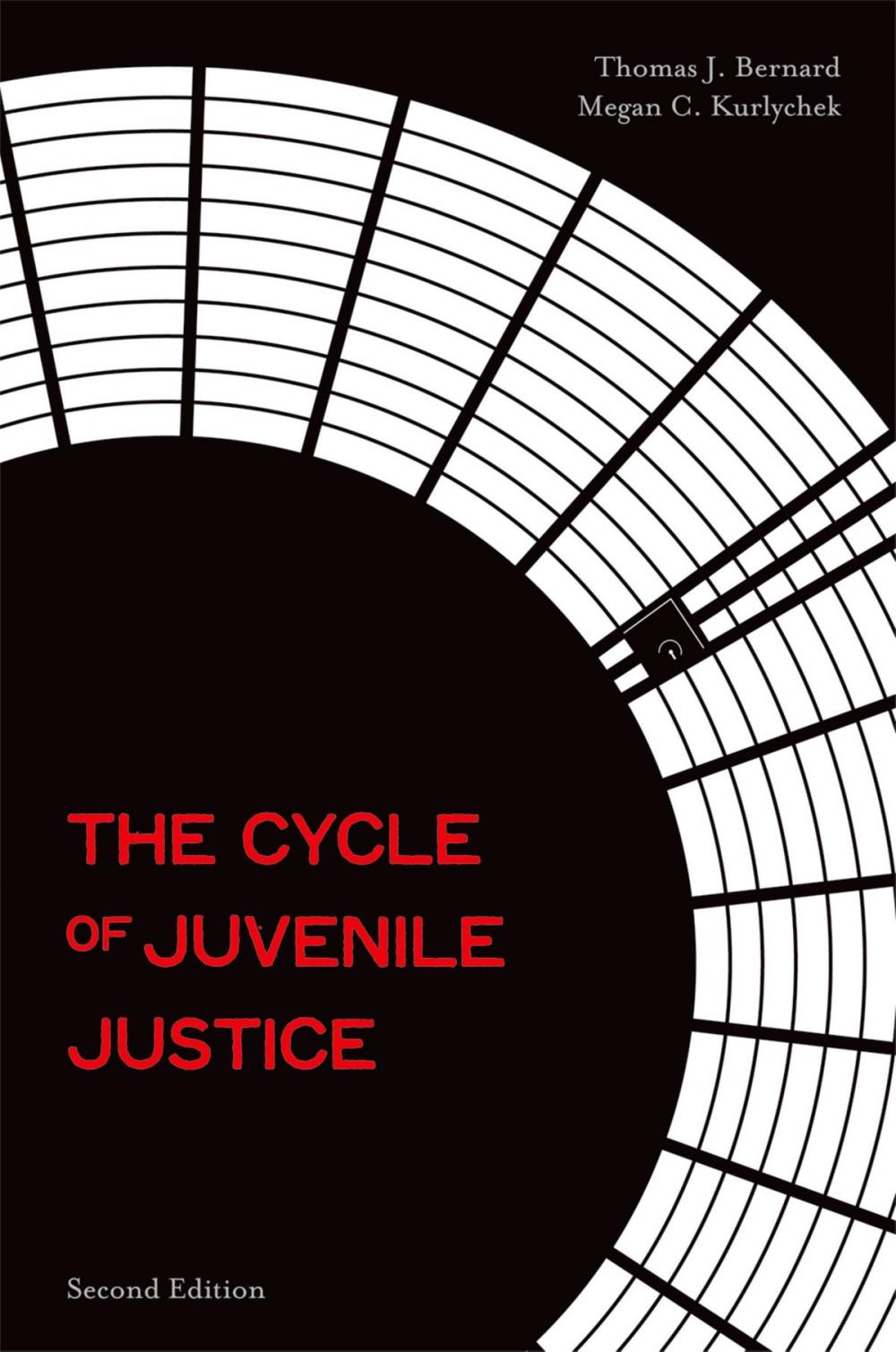 Big bigCover of The Cycle of Juvenile Justice