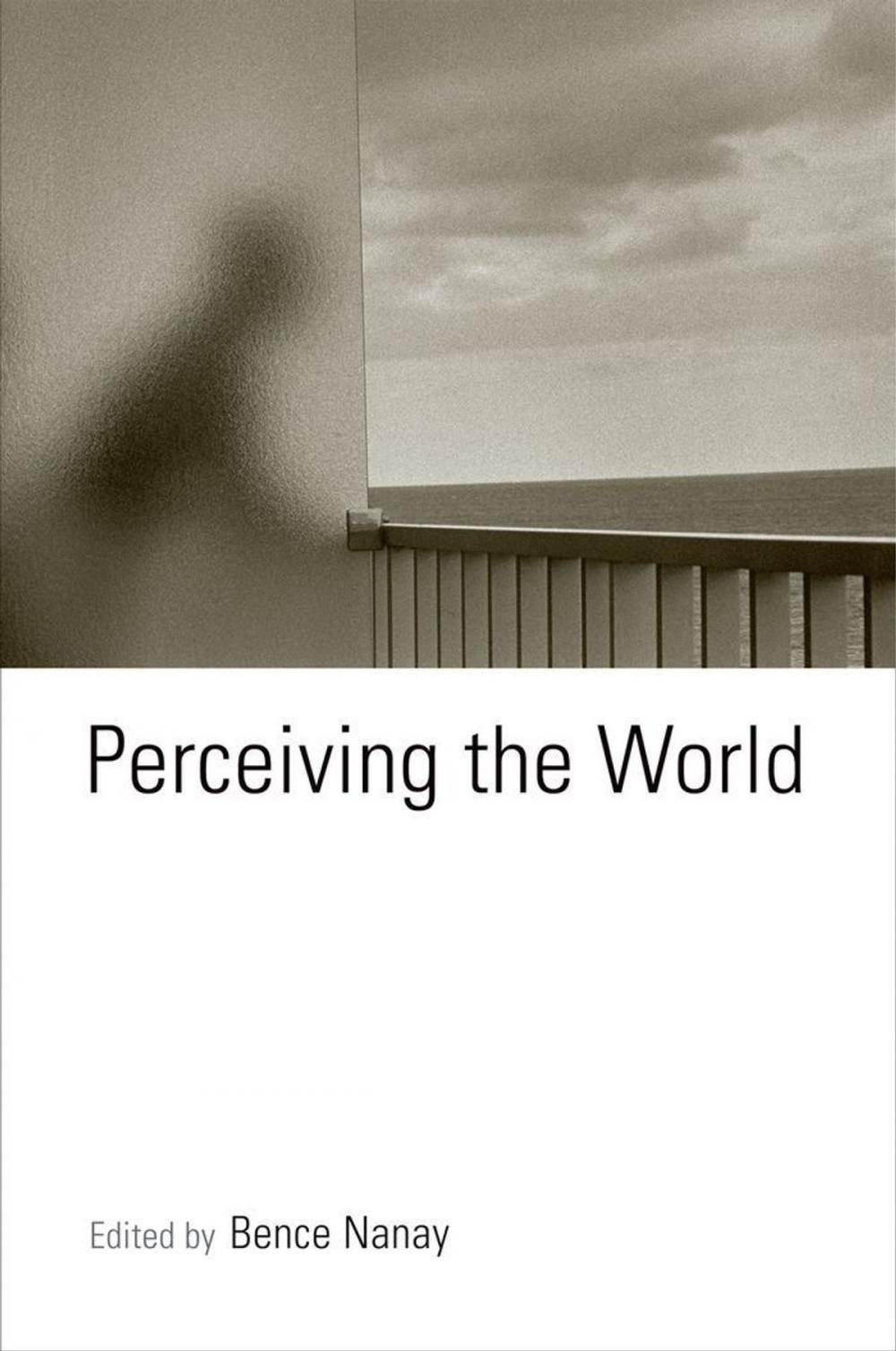 Big bigCover of Perceiving the World