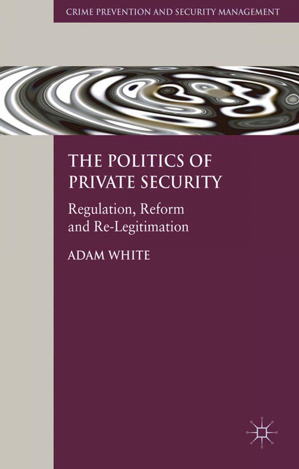 Big bigCover of The Politics of Private Security