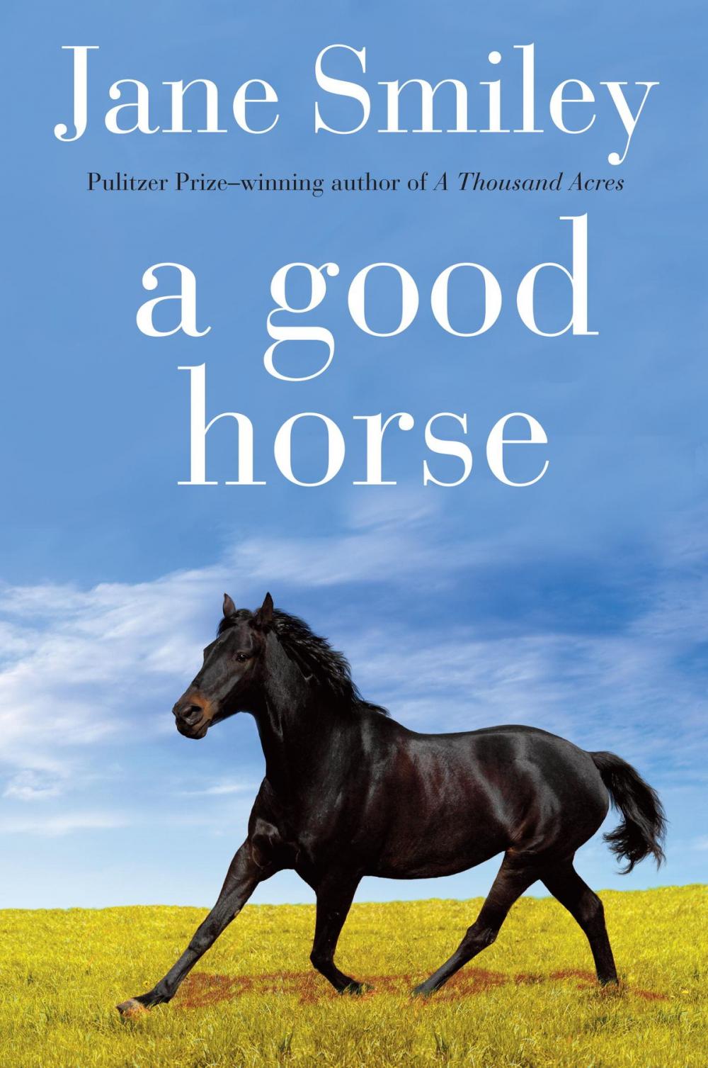 Big bigCover of A Good Horse