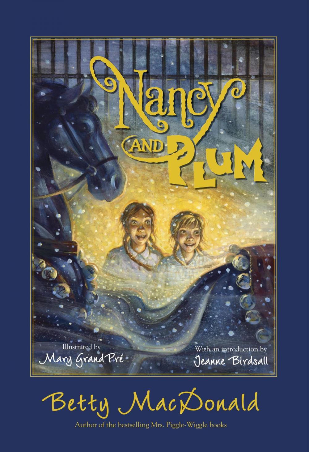 Big bigCover of Nancy and Plum