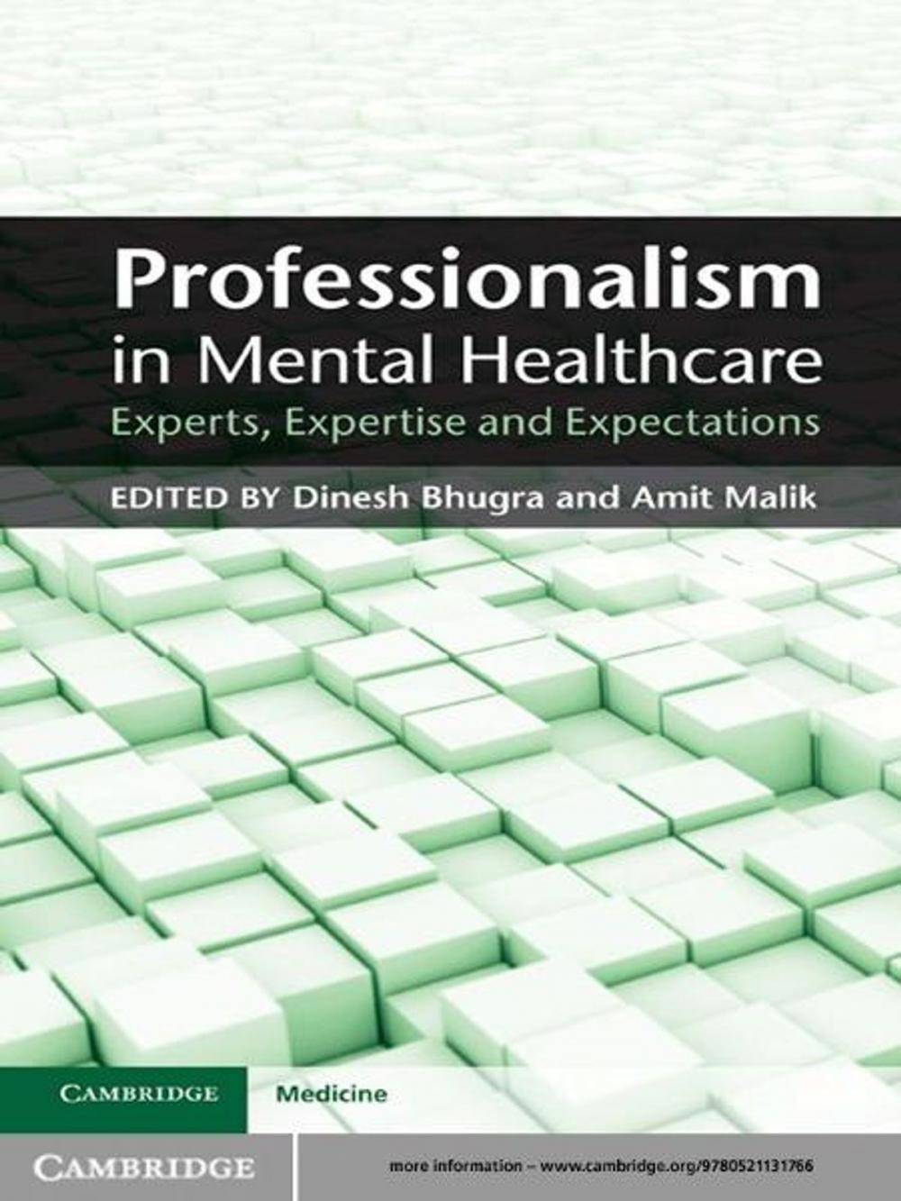 Big bigCover of Professionalism in Mental Healthcare