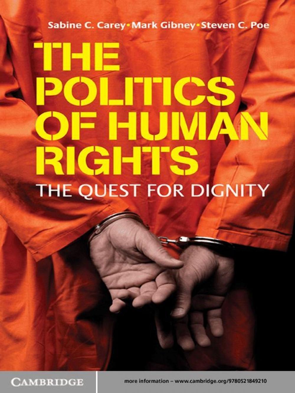 Big bigCover of The Politics of Human Rights