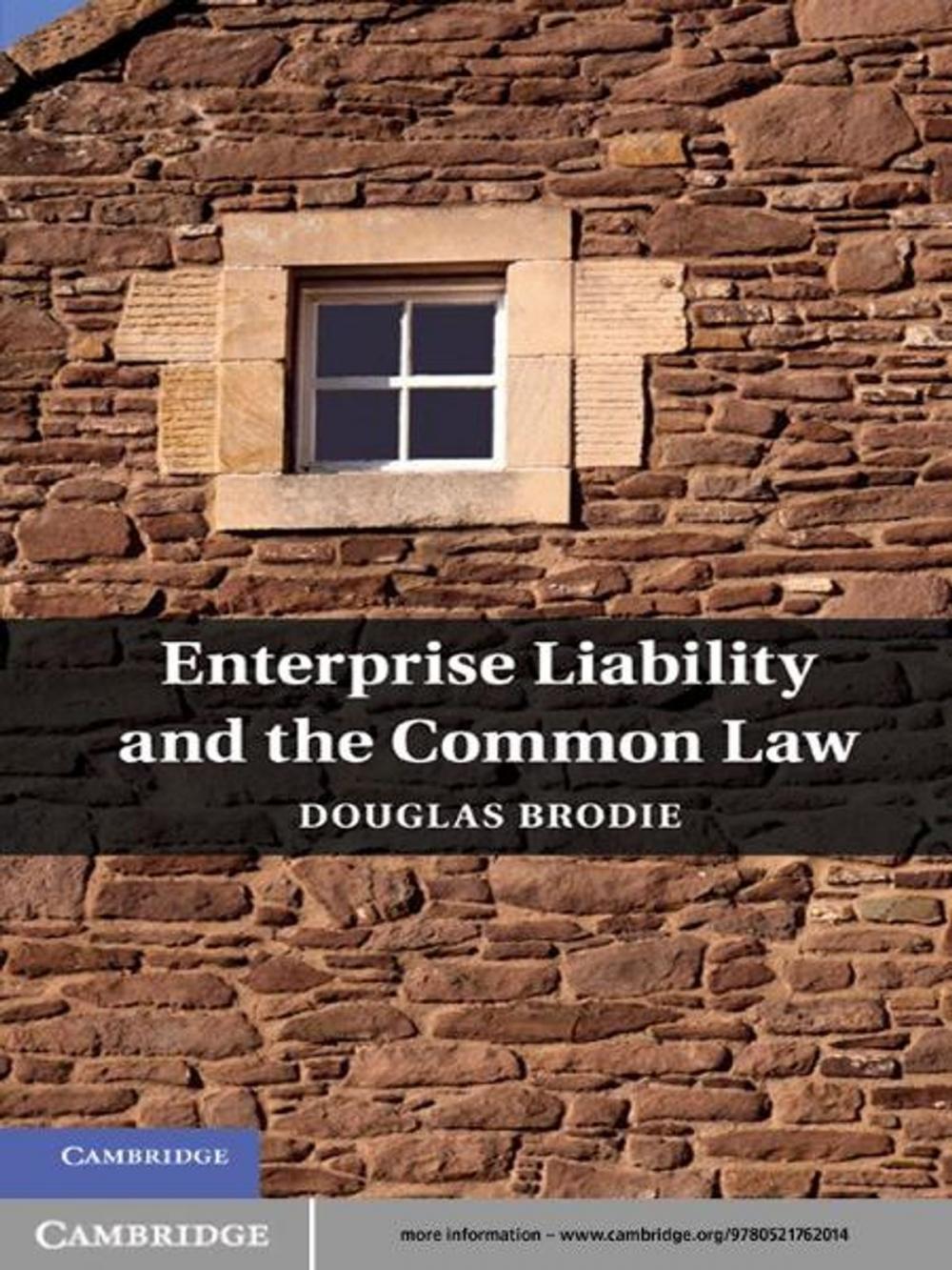 Big bigCover of Enterprise Liability and the Common Law