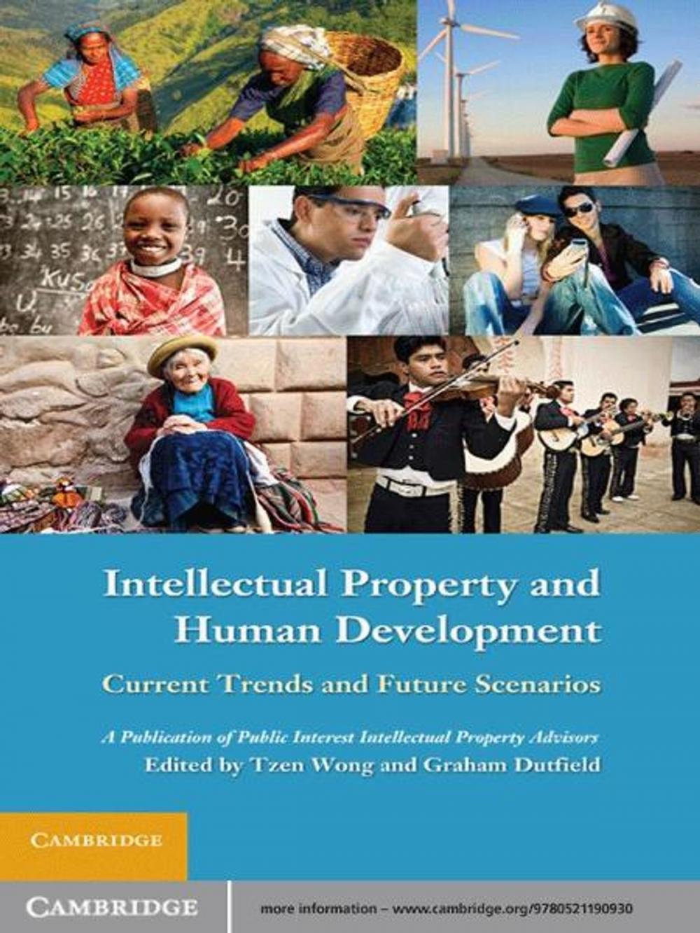 Big bigCover of Intellectual Property and Human Development