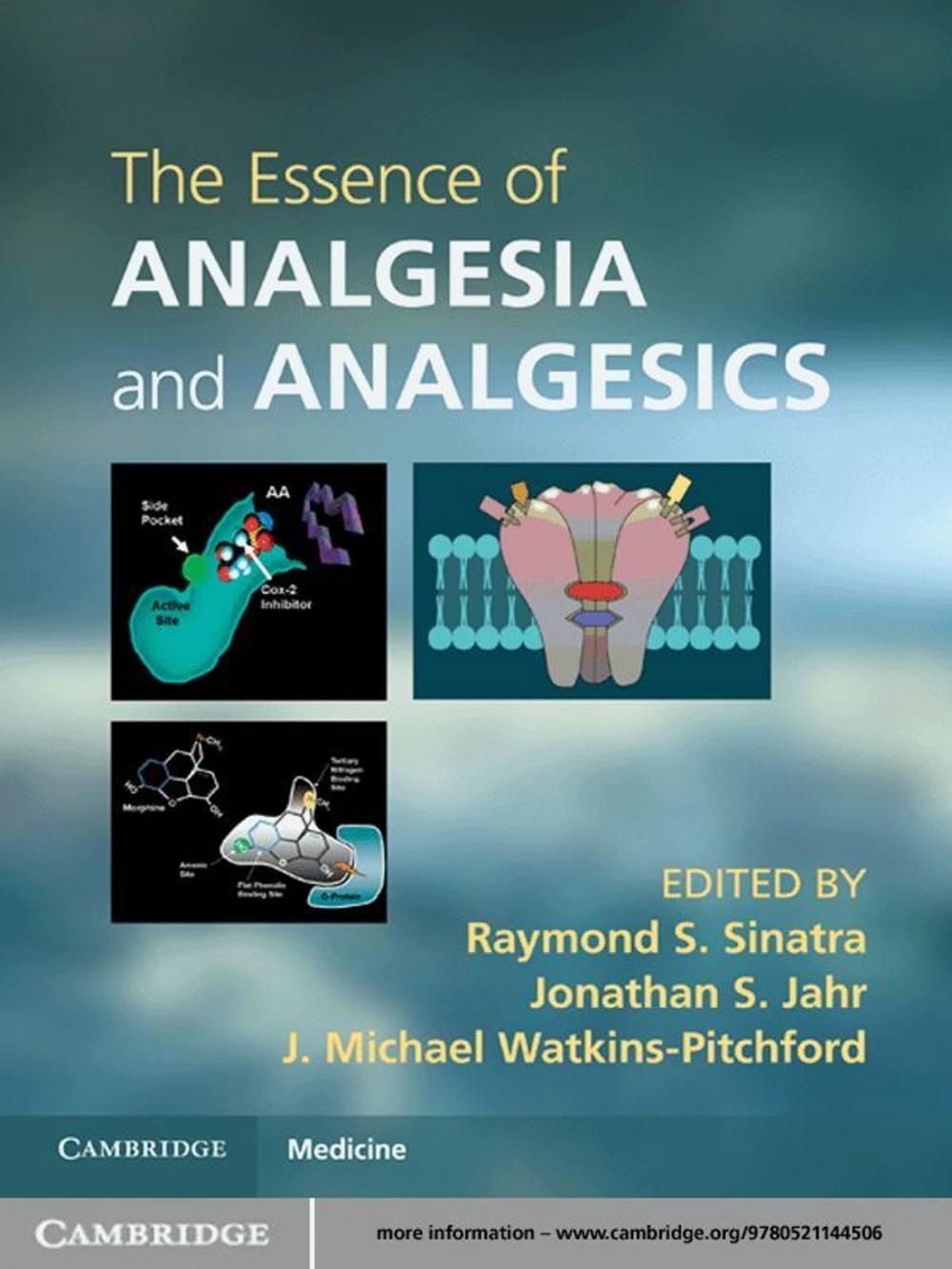 Big bigCover of The Essence of Analgesia and Analgesics