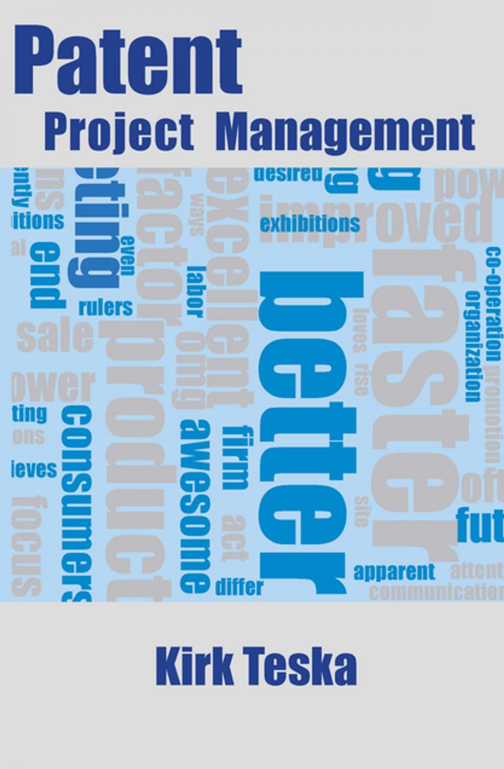 Big bigCover of Patent Project Management