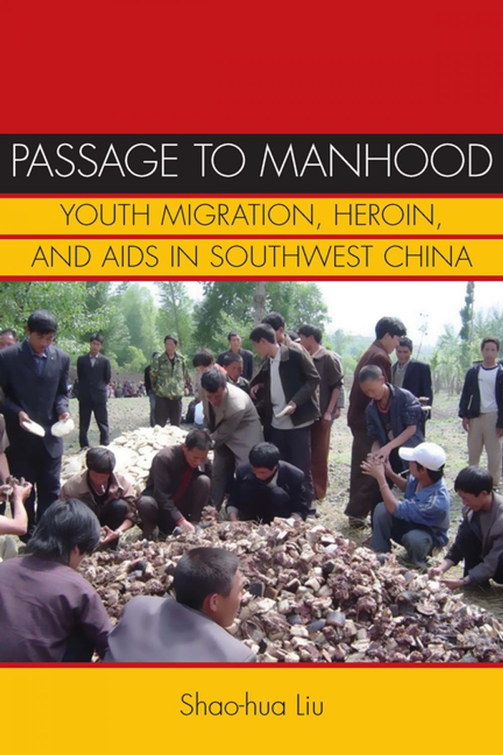 Big bigCover of Passage to Manhood