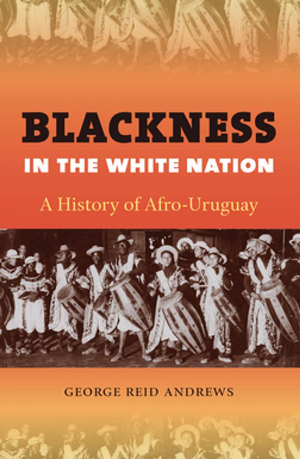 Big bigCover of Blackness in the White Nation