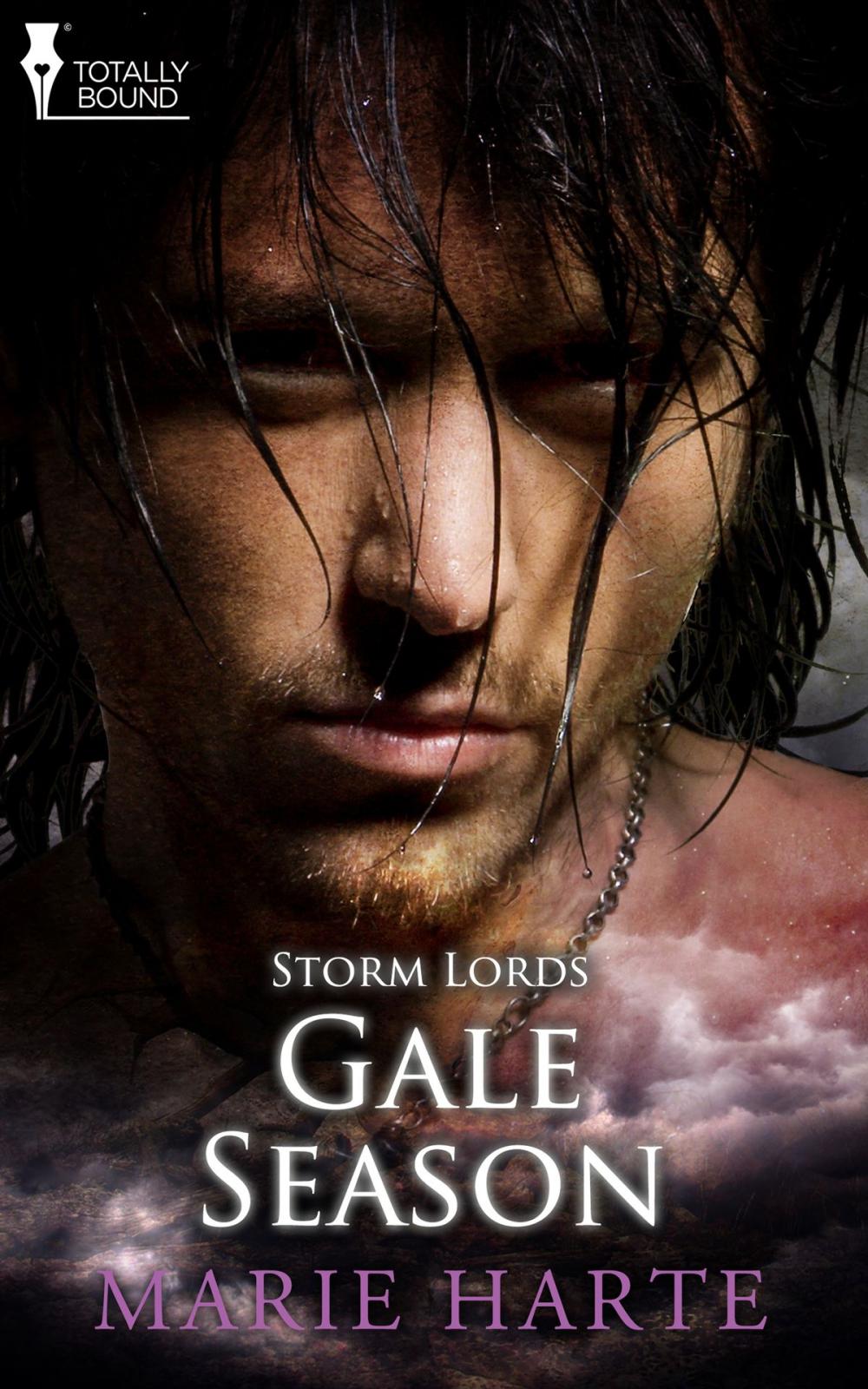 Big bigCover of Gale Season