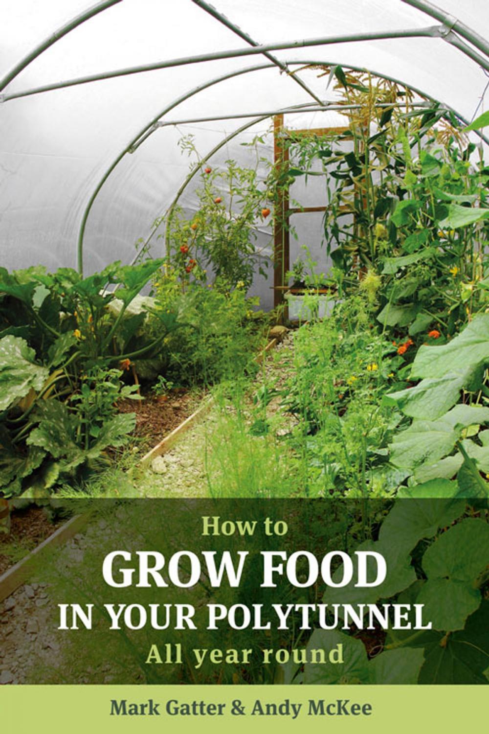 Big bigCover of How to Grow Food in Your Polytunnel