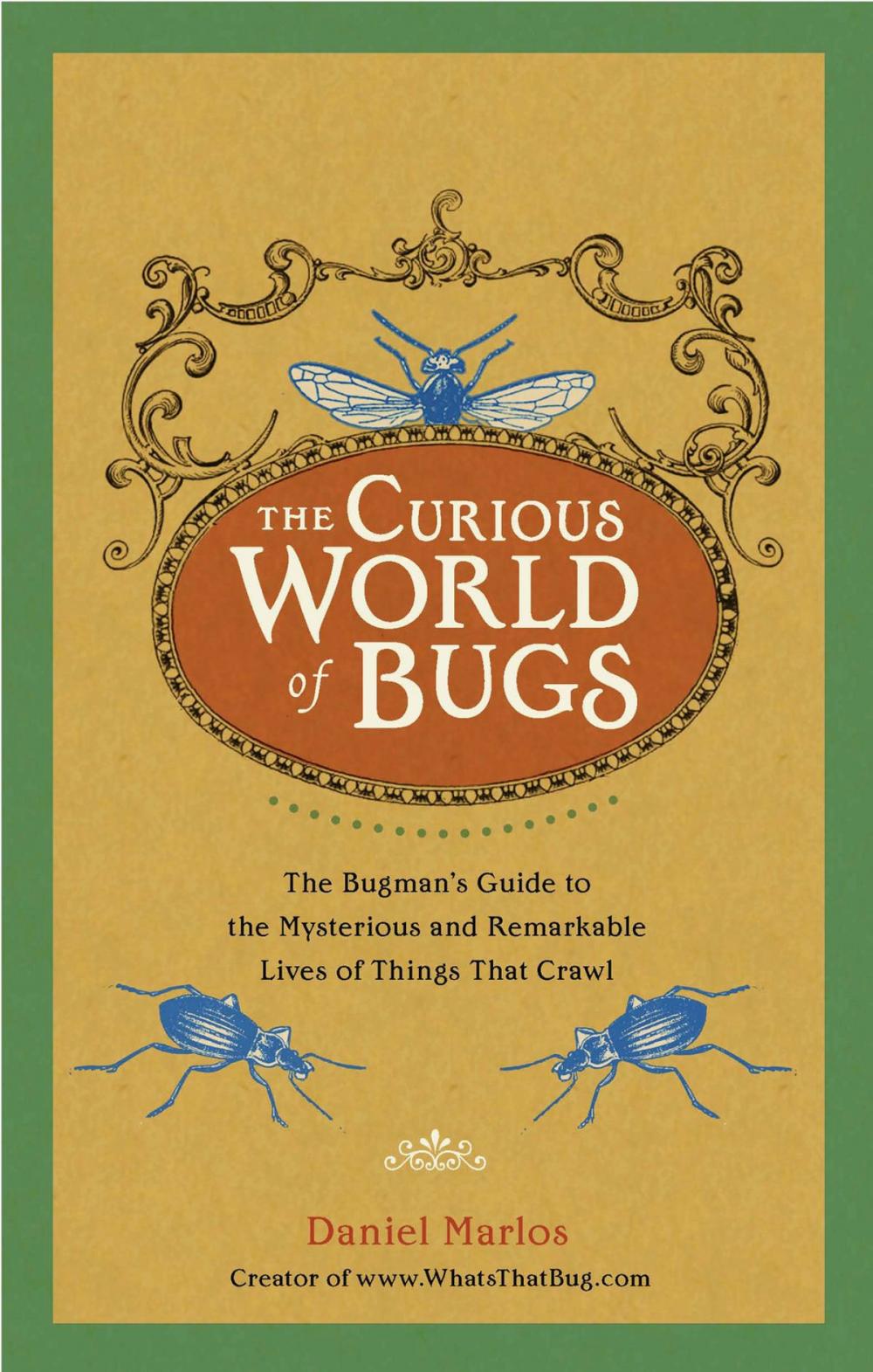 Big bigCover of The Curious World of Bugs