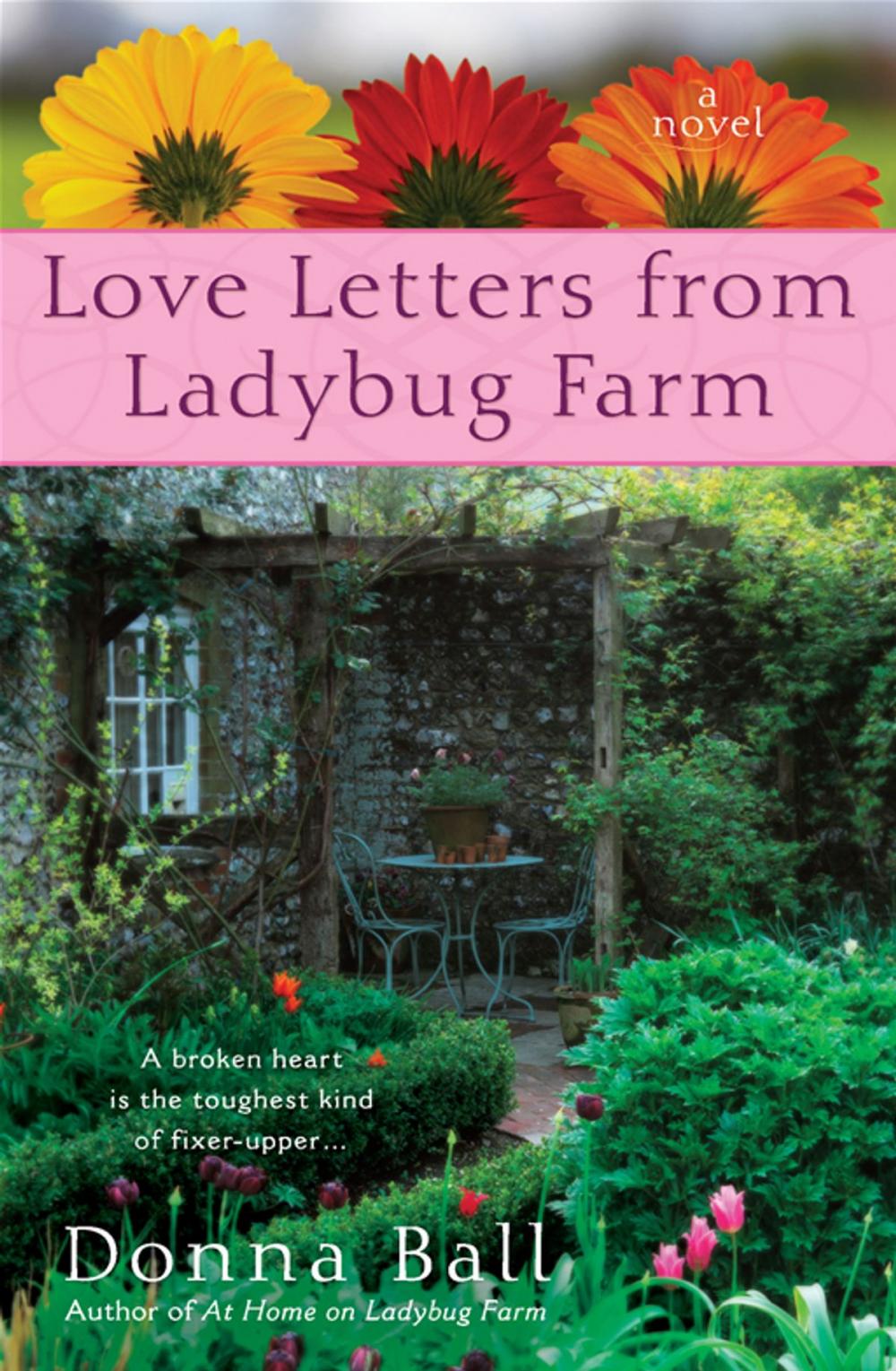 Big bigCover of Love Letters from Ladybug Farm