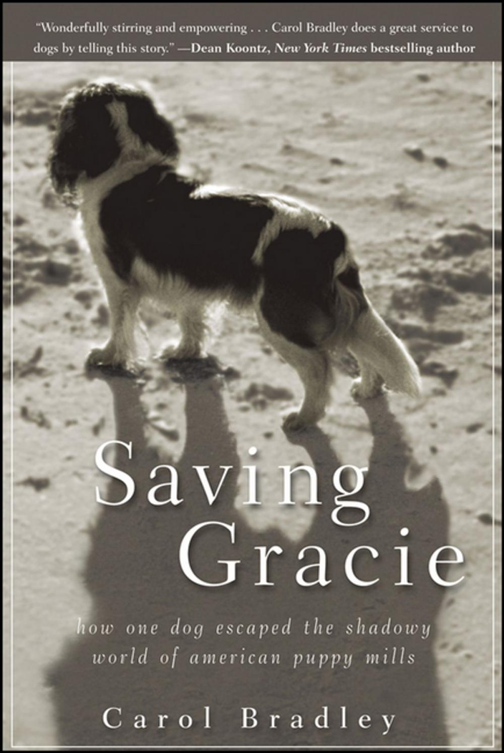 Big bigCover of Saving Gracie