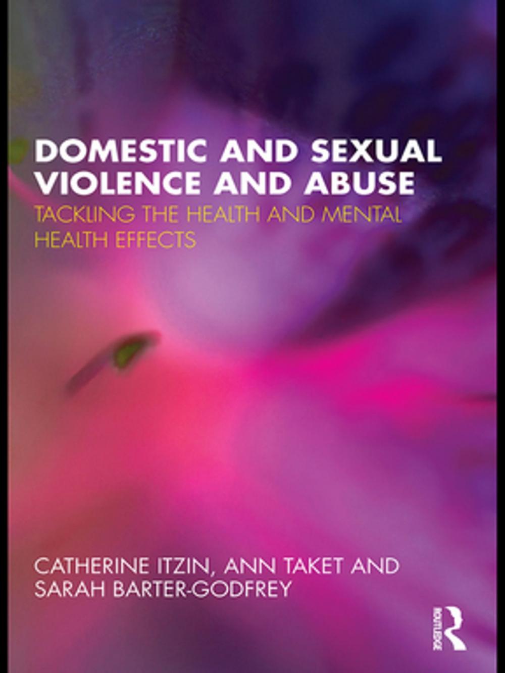 Big bigCover of Domestic and Sexual Violence and Abuse