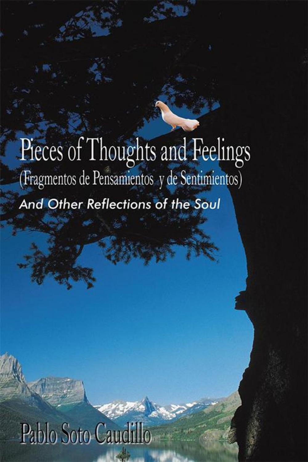 Big bigCover of Pieces of Thoughts and Feelings (Fragmentos De Pensamientos Y De Sentimientos)