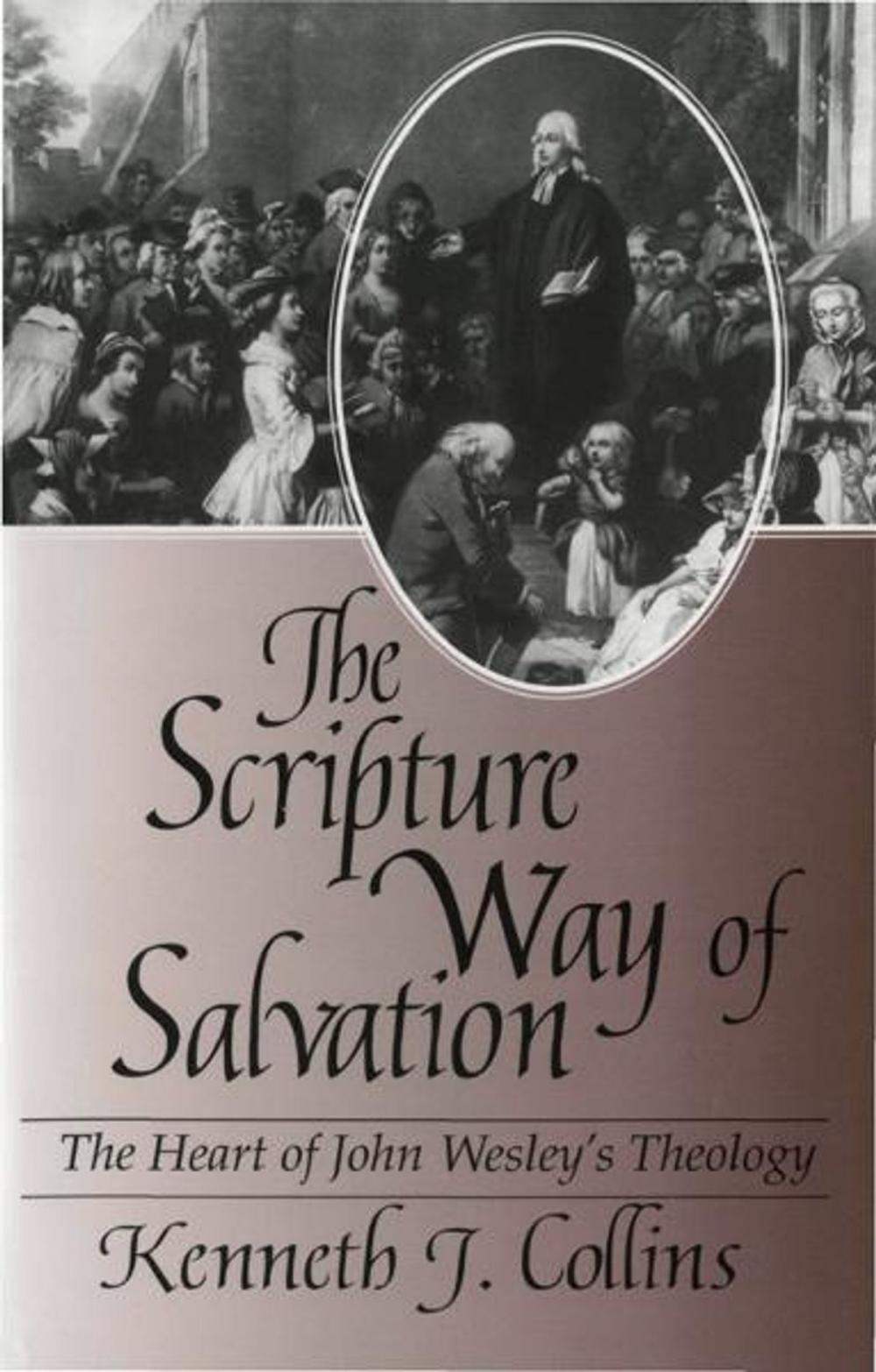 Big bigCover of The Scripture Way of Salvation