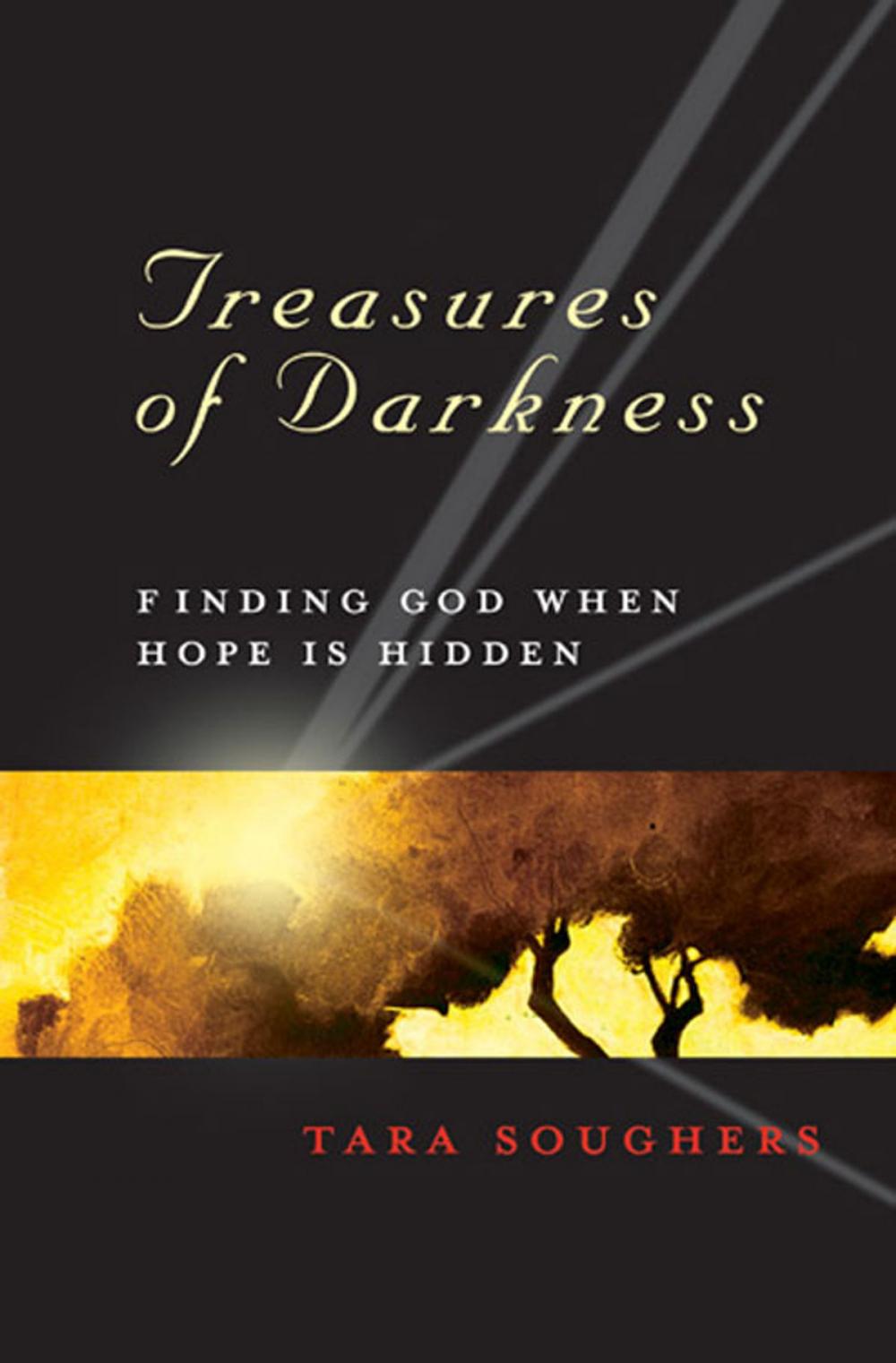 Big bigCover of Treasures of Darkness - eBook [ePub]