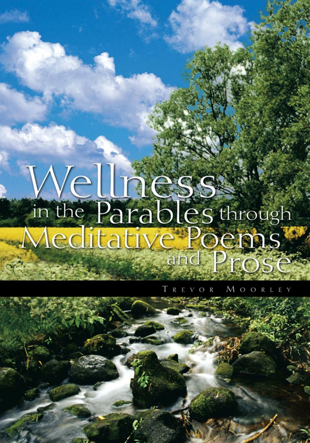 Big bigCover of Wellness in the Parables Through Meditative Poems and Prose